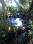 FZ019285 Water flowing Brook House Farm Campsite.jpg